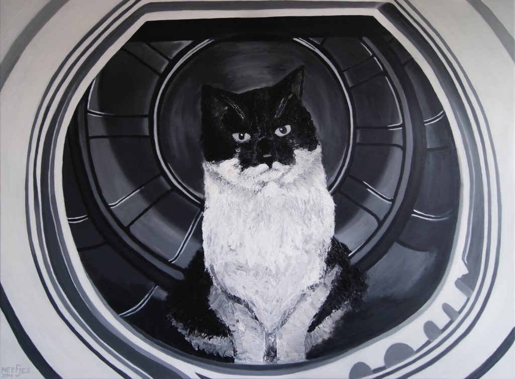 Schilderij | Kat in de wasmachine | 120x100cm | Acrylverf