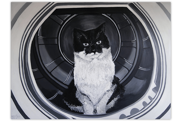 Creayv andere creaties schilderij kat in de wasmachine